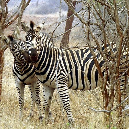 Ndlovu Log Home Dinokeng Klipdrift エクステリア 写真