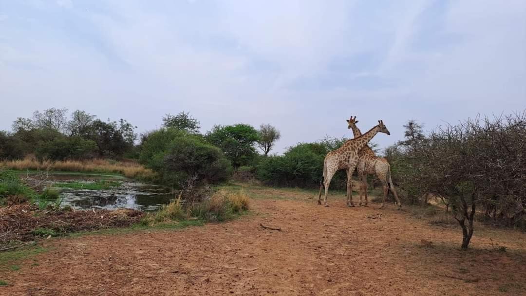 Ndlovu Log Home Dinokeng Klipdrift エクステリア 写真