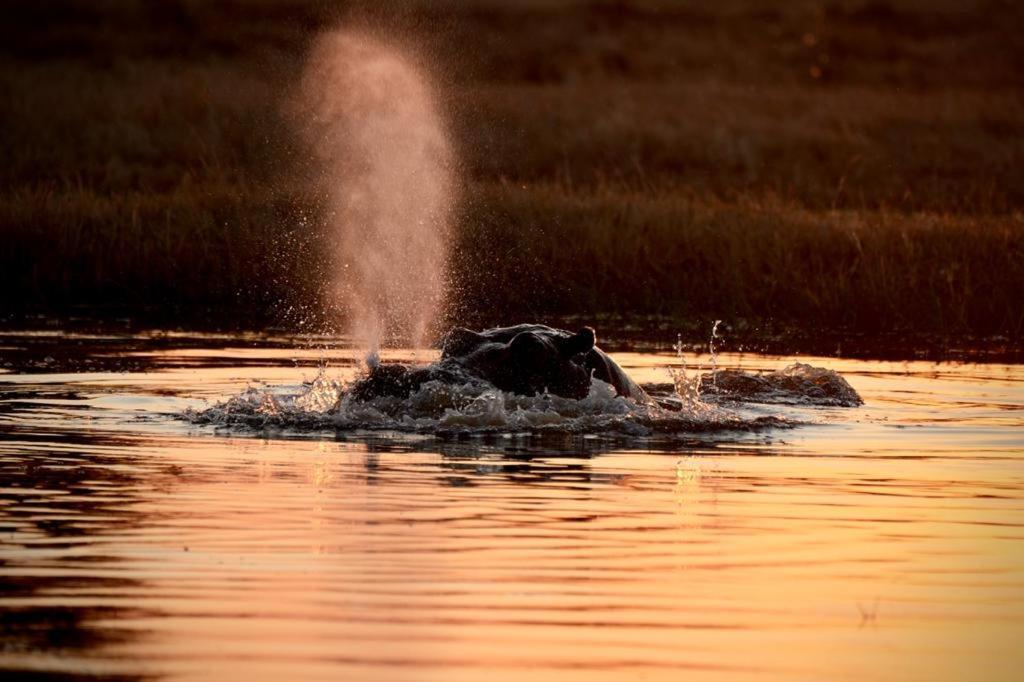 Ndlovu Log Home Dinokeng Klipdrift エクステリア 写真