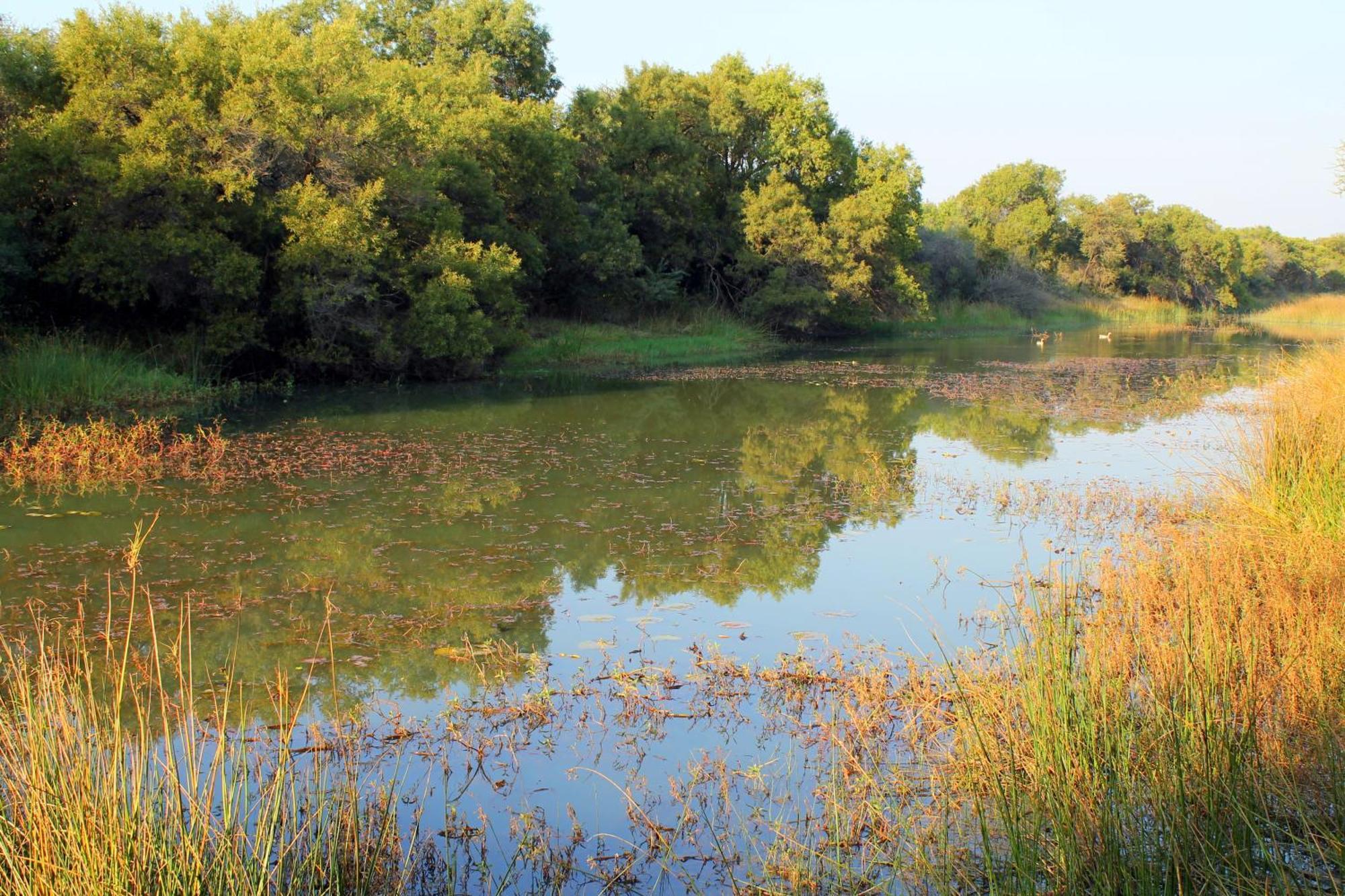 Ndlovu Log Home Dinokeng Klipdrift エクステリア 写真